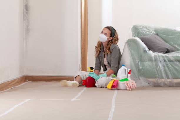 Reliable Mold Cleanup contractor in Gladstone, MI by WQB Mold Removal